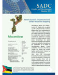 SGDM Factsheet Mozambique